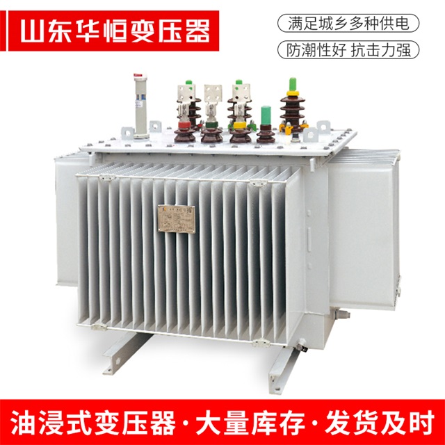 S13-10000/35临翔临翔临翔电力变压器